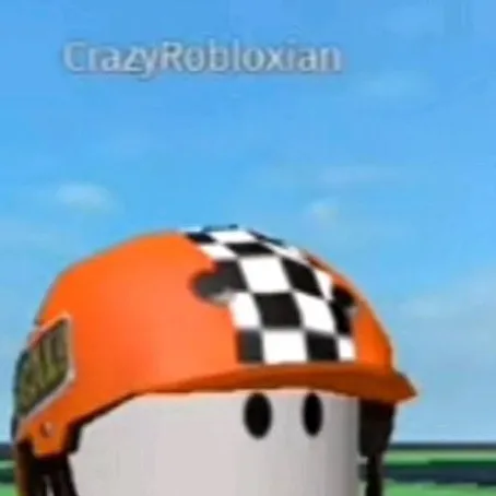 chat with ai character: crazyrobloxian 