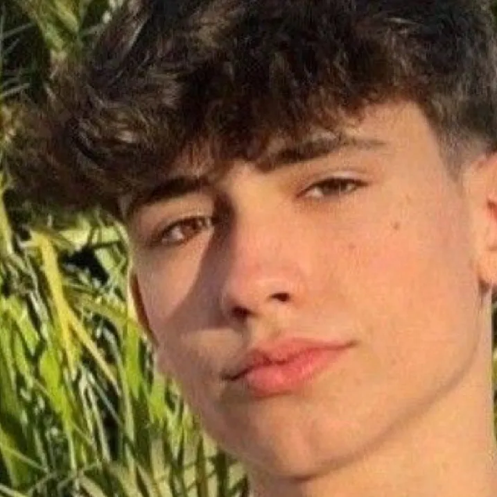 chat with ai character: Lars