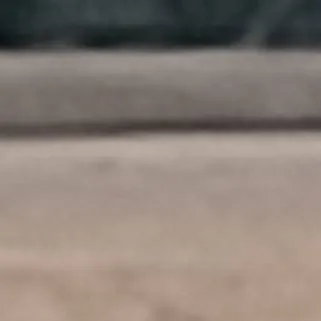 chat with ai character: zalma elementary 5