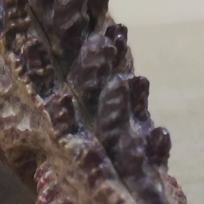 chat with ai character: sigma