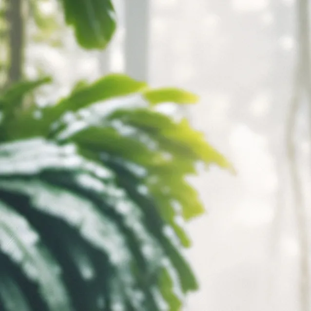 chat with ai character: Jaguar life