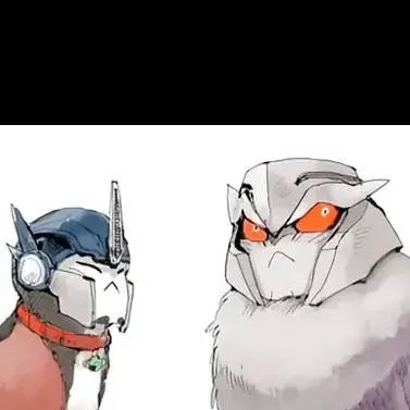 chat with ai character: Op & Meg Cat