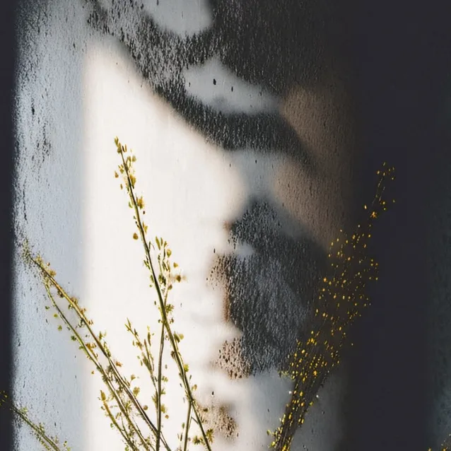 chat with ai character: dw in Astros room