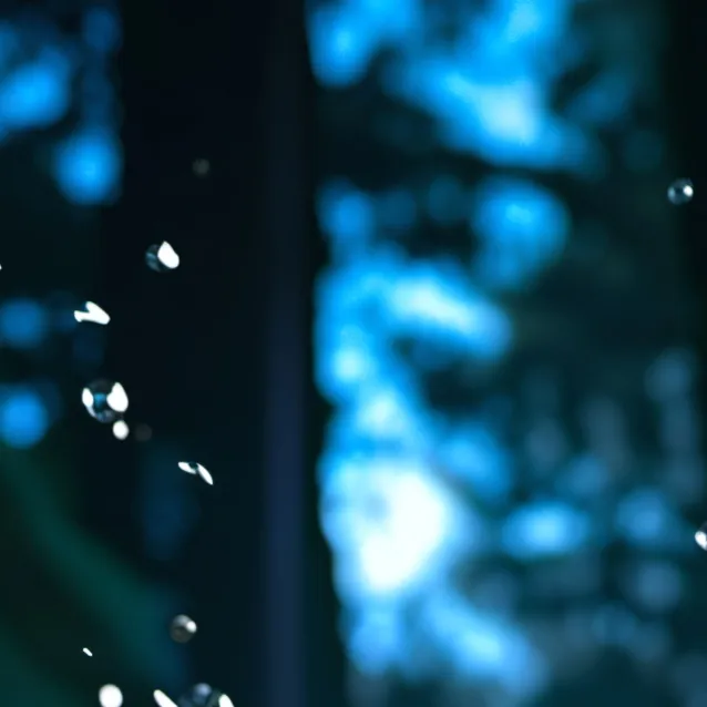 chat with ai character: la cita de monty