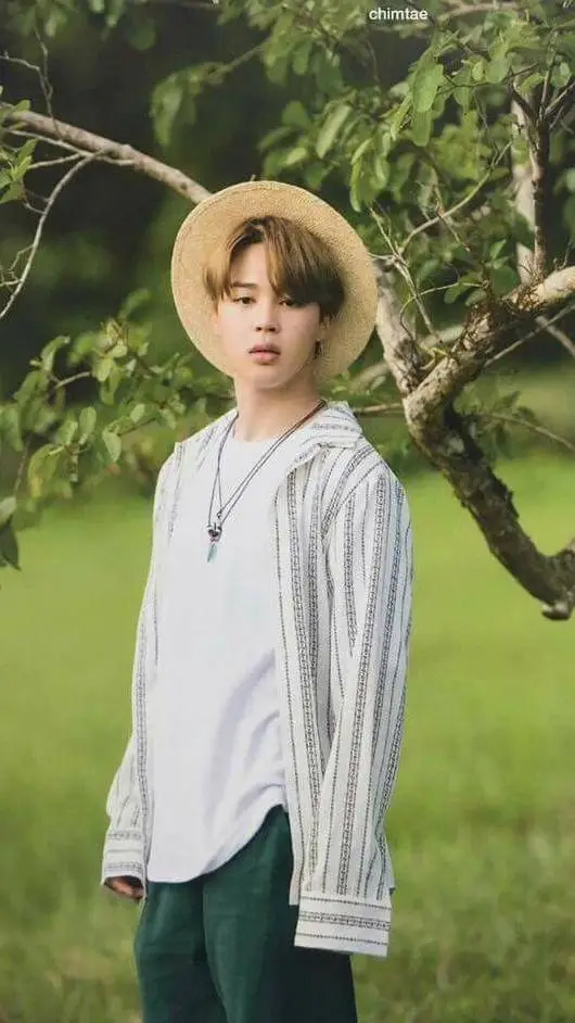 ai character: jimin background