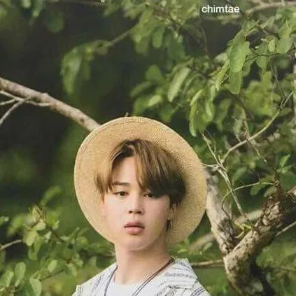 chat with ai character: jimin