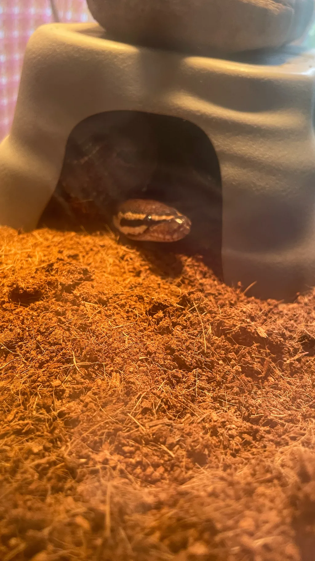 ai character: Forsakenbabysitter background