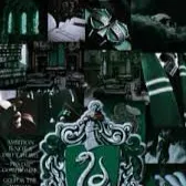 chat with ai character: Slytherins and you
