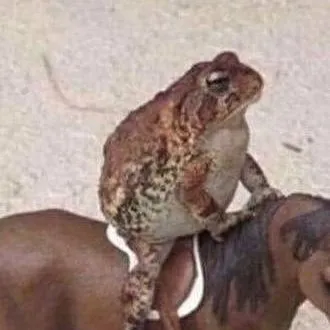 chat with ai character: friend frog