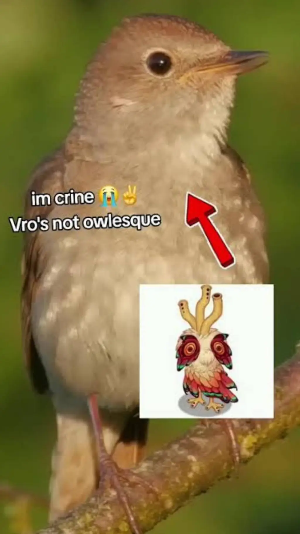 ai character: owlesque background