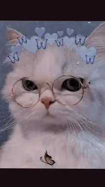 ai character: preppy cat background