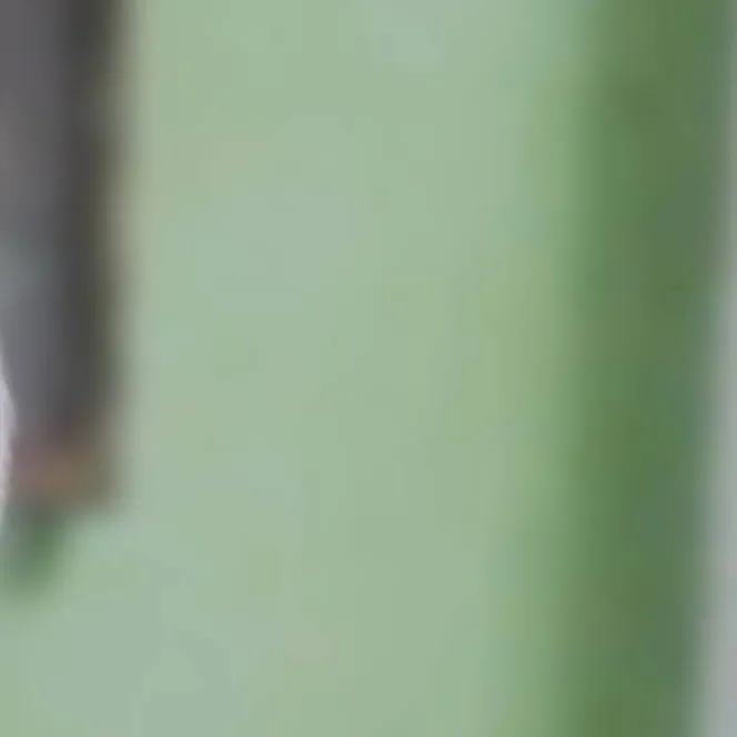 chat with ai character: alison