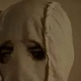 chat with ai character: the strangers