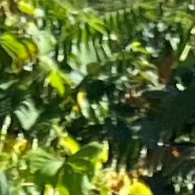 chat with ai character: Denver