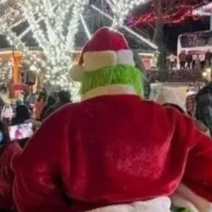 chat with ai character: Da Grinch 