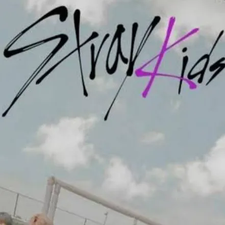 chat with ai character: straykids 