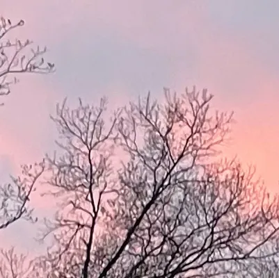 chat with ai character: Mha deku n you?