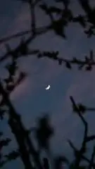 ai character: zip x edward  background