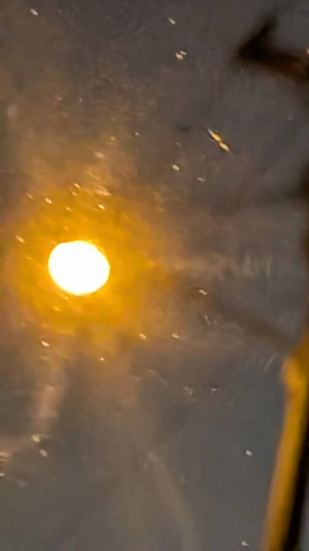 ai character: mha x BSD :) background