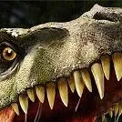 chat with ai character: carnivores hd