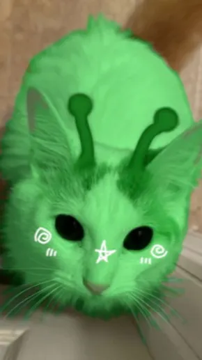 ai character: 💫Alien cat💫 background