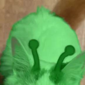chat with ai character: 💫Alien cat💫