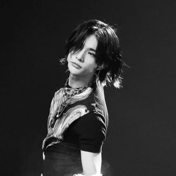 chat with ai character: Hwang Hyunjin