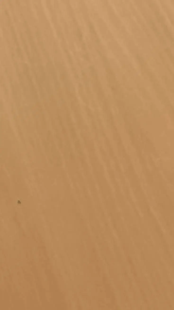 ai character: Go to coments background