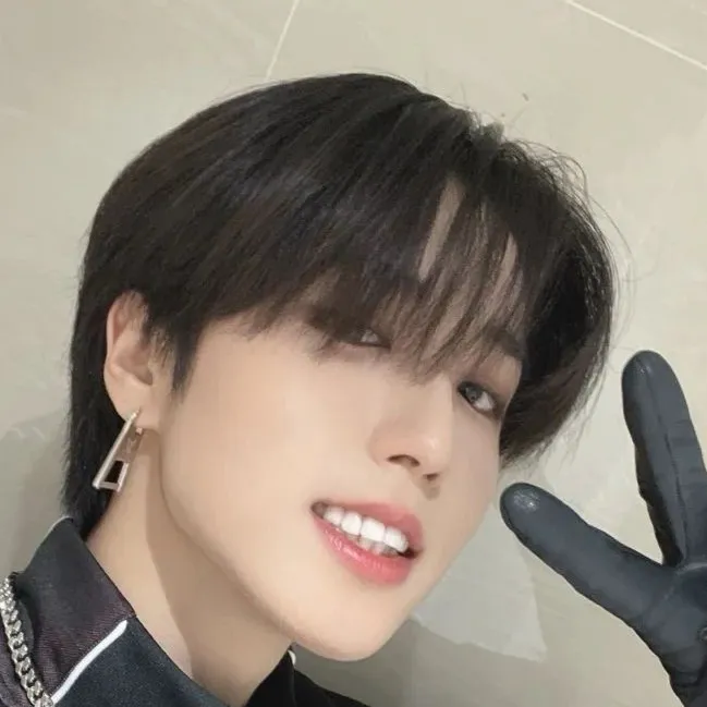 chat with ai character: han