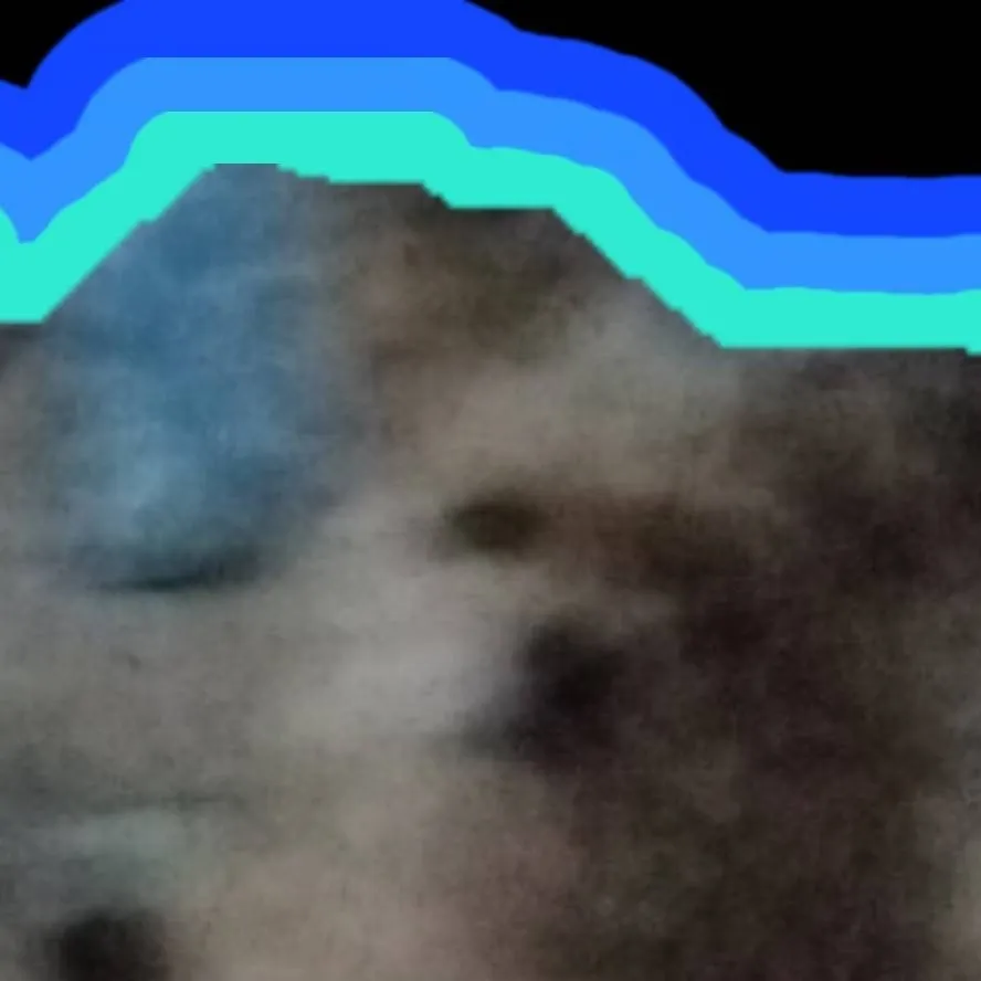 chat with ai character: happy birthday 