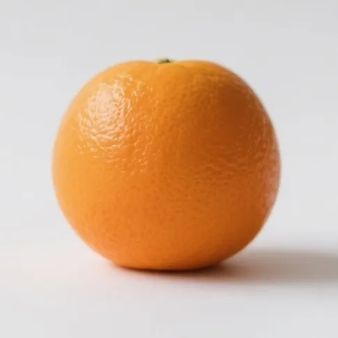 chat with ai character: orange