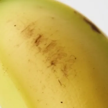 chat with ai character: banana