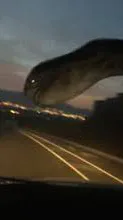 ai character: Highway worm background
