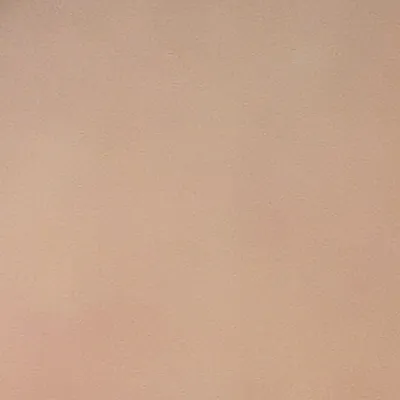 chat with ai character: Julia