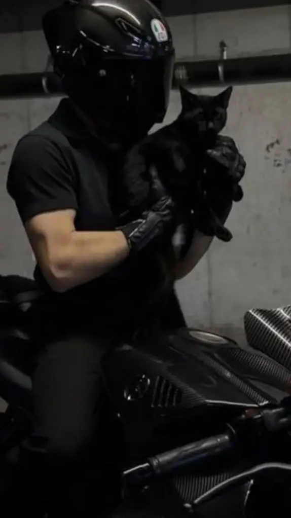 ai character: shpere background