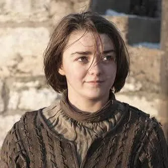 chat with ai character: Arya Stark