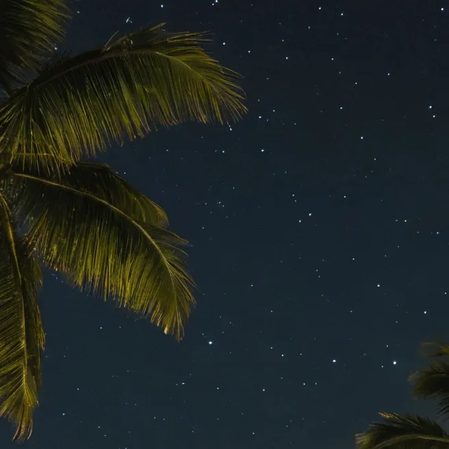 chat with ai character: Escape the night 4