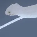 chat with ai character: Ningen