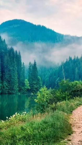 ai character: Lover~ background