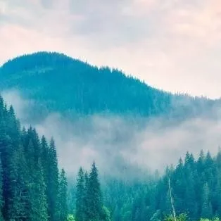 chat with ai character: Lover~