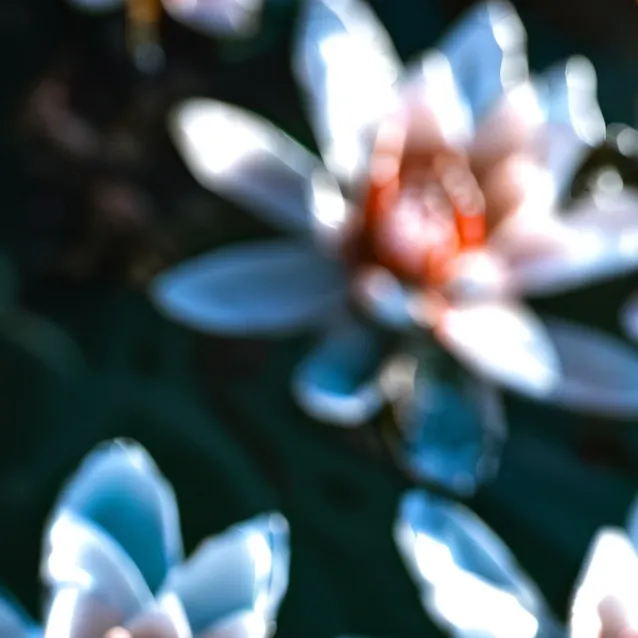 chat with ai character: sonic crew