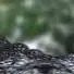 chat with ai character: Murdoch anaconda 