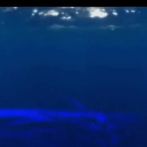 chat with ai character: ghost leviathan 