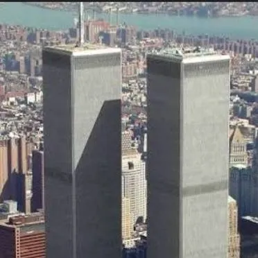 chat with ai character: twin towers