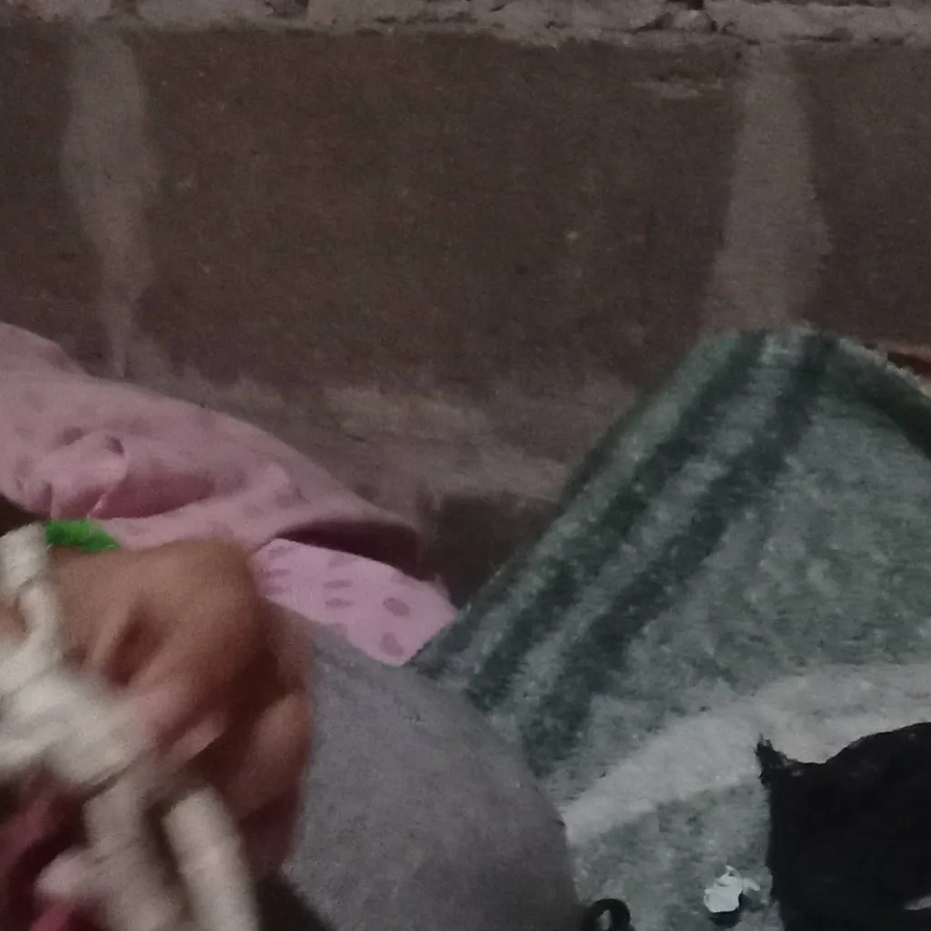 chat with ai character: los pendejos