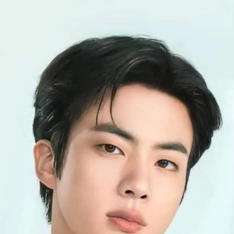 chat with ai character: Kim Seok-Jin🥀✨