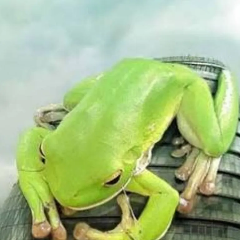 chat with ai character: Roman Empire