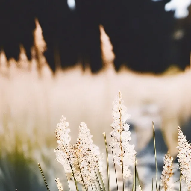 chat with ai character: grass 