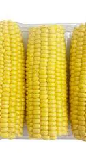 ai character: Corn background