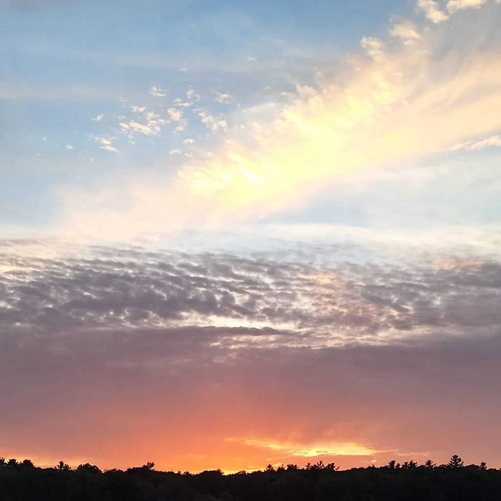 chat with ai character: Outer banks🌴🏖✨🫧🍍